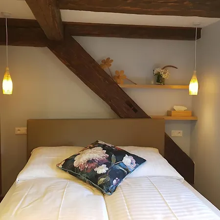 L'escale D'alsace Apartment